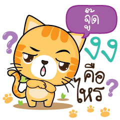 JOOD Sesa cat_S