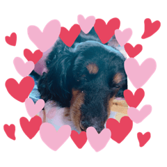 CHAPPY_20190707223727