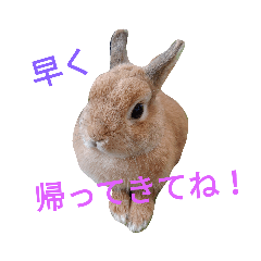 kaede_20190707184530
