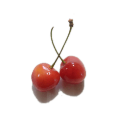 Cherry stamp (ningenda)