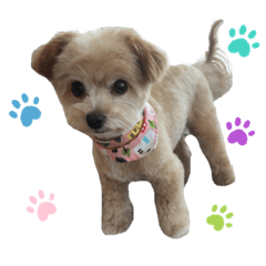 akane_20190707232501