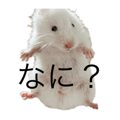 nagisa_20190707233529