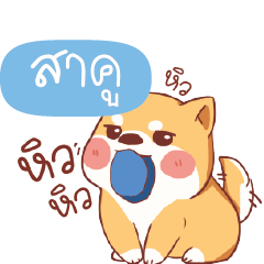 SAKU Shiba naughty dog