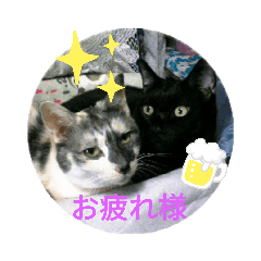 TAKE_20190708115315