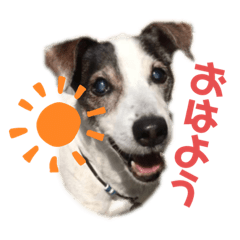 peace_20190708125818