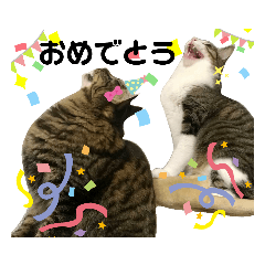 Smile_20190708143149