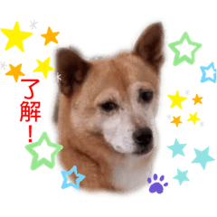 IM.POCO
