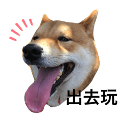 柴犬滷肉飯-日常生活用語