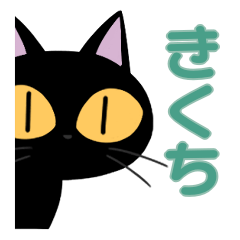 Kikuchi&Black cat