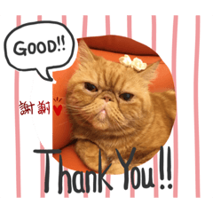 可愛的小嘎逼2.1