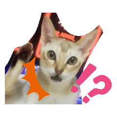 mt_20190708190431