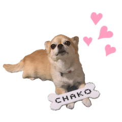 chihiro0618