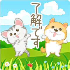 American Shorthair And Shiba Inu Daily Line Stickers Line Store