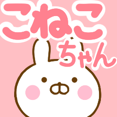 Rabbit Usahina konekochan