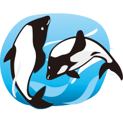 White Tailed Dolphin Sticker Line Stickers Line Store White Tailed Dolphin Sticker Line Stickers Line Store