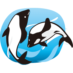 White Tailed Dolphin Sticker Line Stickers Line Store