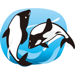 White-tailed dolphin Sticker