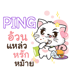 PING Seenuan cat_S e