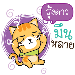 RUNGDAO Sesa cat_E