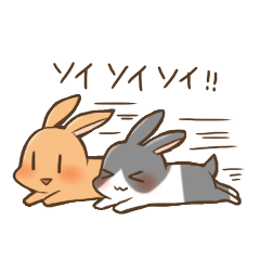 Rabbitsan life