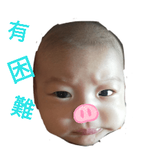 江晞晞
