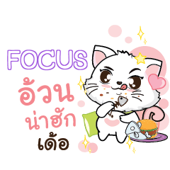 FOCUS Seenuan cat_E e