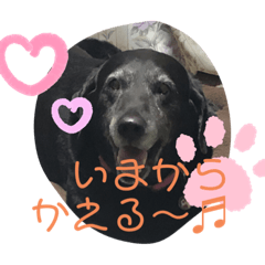 mint_20190708222390
