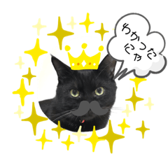 kurumi_20190708213349