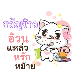 KWANKAO Seenuan cat_S