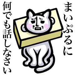 Stray cat!! Maipuru
