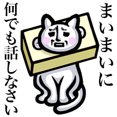 Stray cat!! Maimai