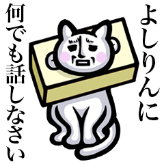 Stray cat!! Yoshirin
