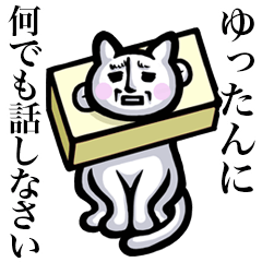 Stray cat!! Yuttan