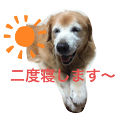 mocomoco_20190708225426