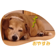 yuma_20190708230640
