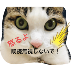 nanana_20190708230657