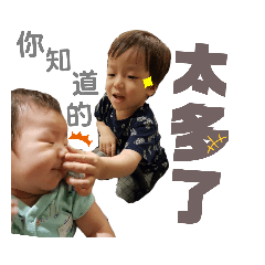 雞豬2