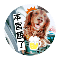 波比有話要說