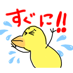 akari_20190709003240