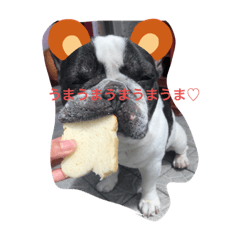 HACHI_20190704150917