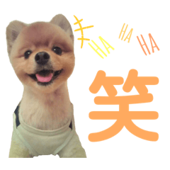 guri_20190709142842