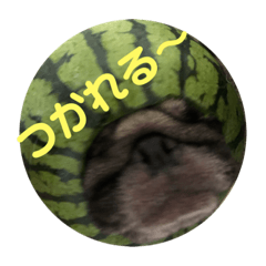 yukari_20190709141618