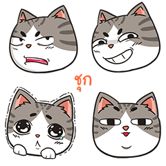 CHUK trollcat emoji