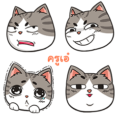 KRUAI trollcat emoji