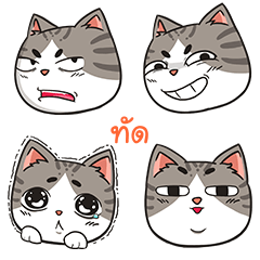 TUD trollcat emoji