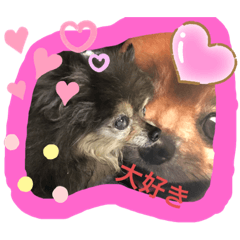 Risa_20190710093918