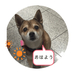 ayano_20190709170207