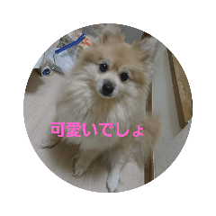 Sei_20190709171755