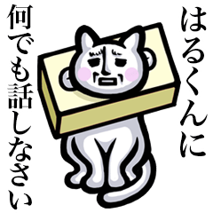 Stray cat!! Harukun