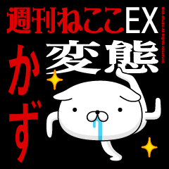 "KAZU" name / transformation feature